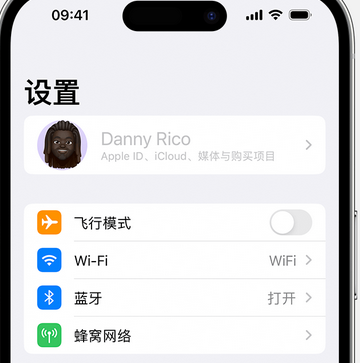 兴化appleID维修服务iPhone设置中Apple ID显示为灰色无法使用 