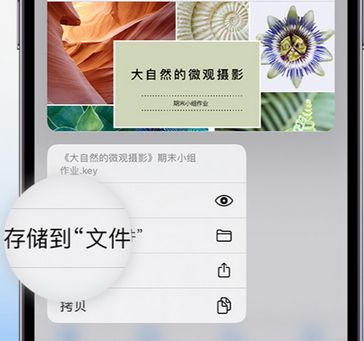兴化apple维修中心分享iPhone文件应用中存储和找到下载文件