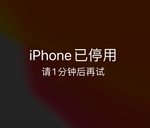 兴化苹果手机维修分享:iPhone 显示“不可用”或“已停用”怎么办？还能保留数据吗？ 