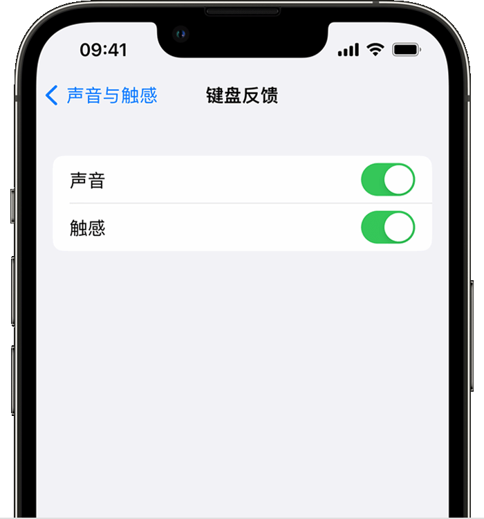 兴化苹果14维修店分享如何在 iPhone 14 机型中使用触感键盘 