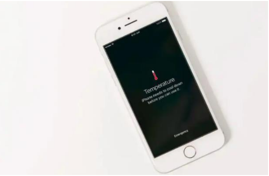 兴化苹果手机维修分享iPhone 手机发热如何快速降温 