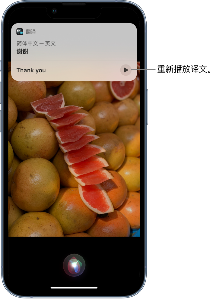 兴化苹果14维修分享 iPhone 14 机型中使用 Siri：了解 Siri 能帮你做什么 