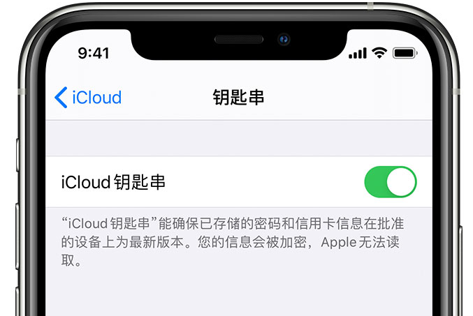 兴化苹果手机维修分享在 iPhone 上开启 iCloud 钥匙串之后会储存哪些信息 