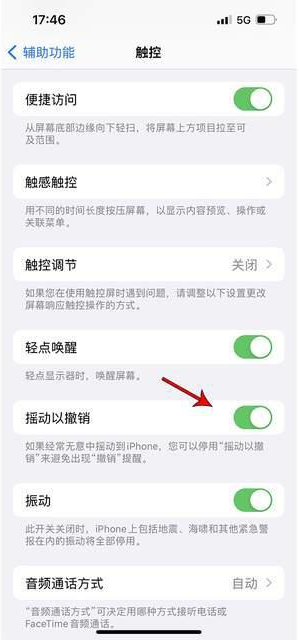 兴化苹果手机维修分享iPhone手机如何设置摇一摇删除文字 